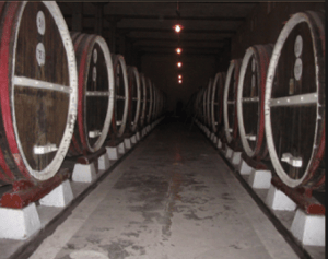 Alignement de fûts de brandy chez Black Sea Gold