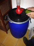 Ajout des levures dans le fermenteur