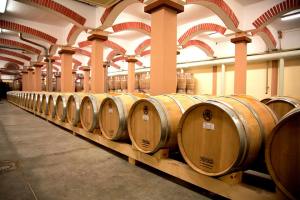 Chai à barriques du Château Asena