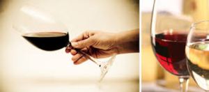 Verres de vin présentés pour une dégustation