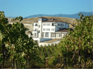 Bâtiment de Villa Melnik entouré de vignes