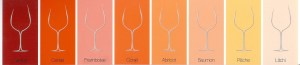 Charte graphique : silhouettes de verres du grenat au litchi
