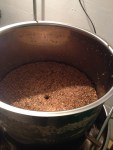 Drêches de malt après filtration
