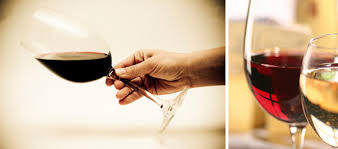 Verres de dégustation de vins rouge et blanc